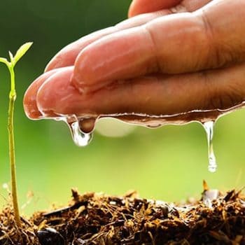 Traducción de horticultura, agricultura y pesca.